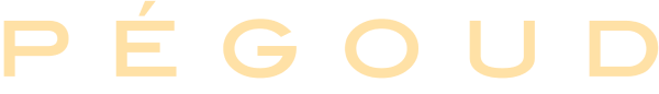 Pégoud Watches